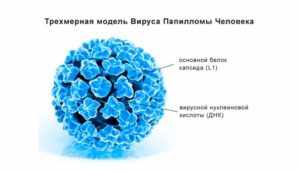 Вирус папилломы человека у женщин в гинекологии