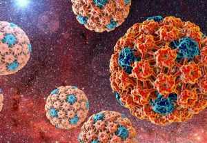 HPV — Human Papillomavirus 