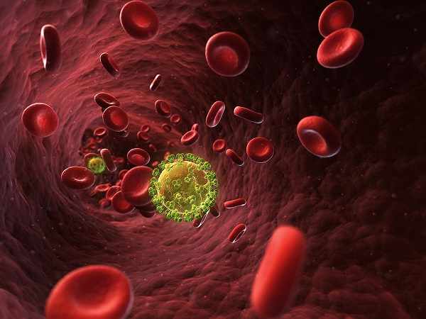 Кровяные клетки и вирус