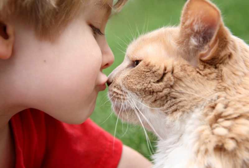 Заражение может произойти при контакте с больным животным